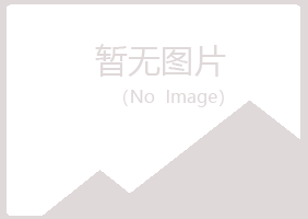 新城子区山柳设计有限公司